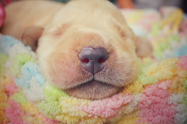 Similar image 8491180