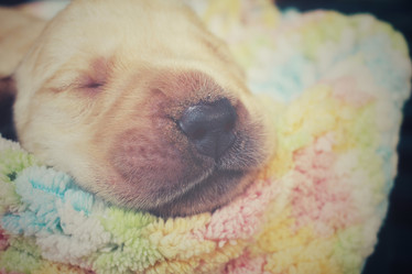 Similar image 8491181