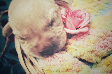 Similar image 8491184