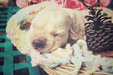 Similar image 8491185