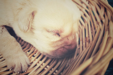 Similar image 8491198