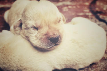 Similar image 8491188