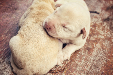 Similar image 8491190