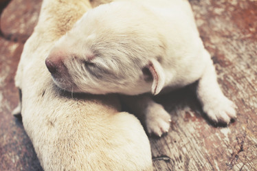 Similar image 8491191