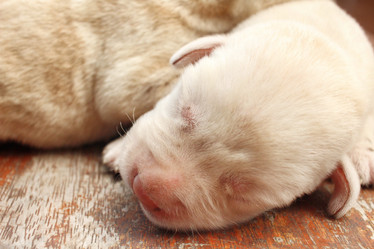 Similar image 8491192