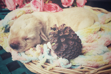 Similar image 8491194