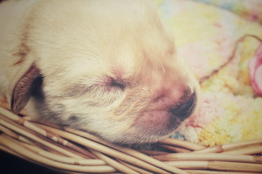 Similar image 8491196