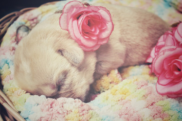 Similar image 8491197