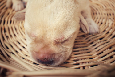 Similar image 8491199