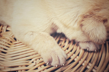 Similar image 8491201