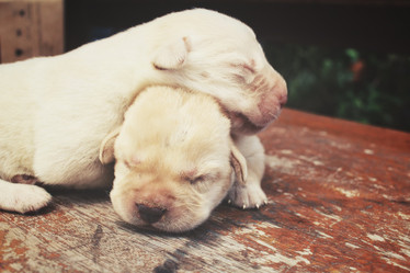 Similar image 8491203