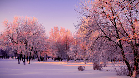 Similar image 8491442