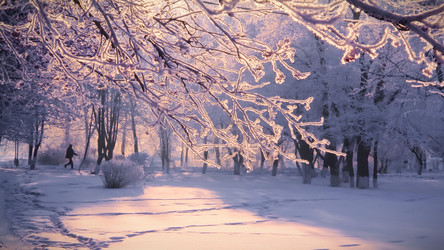 Similar image 8491469