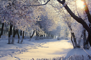 Similar image 8491470