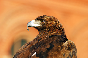 Similar image 8492642