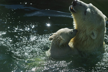 Similar image 8492646