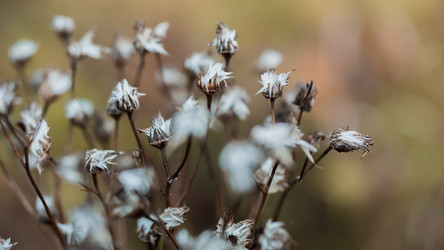 Similar image 8493204