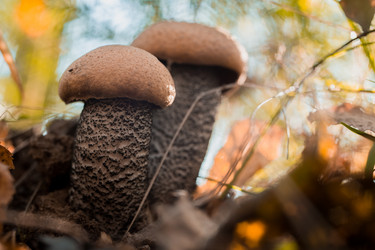 Similar image 8493205