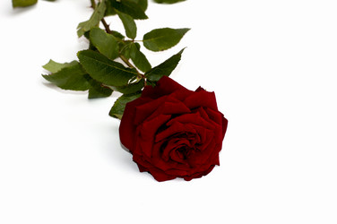 Similar image 8493435