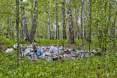 Similar image 8493691