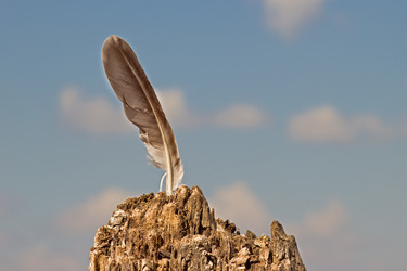 Similar image 8493791