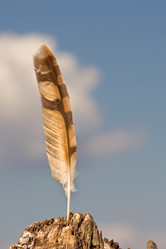 Similar image 8493792