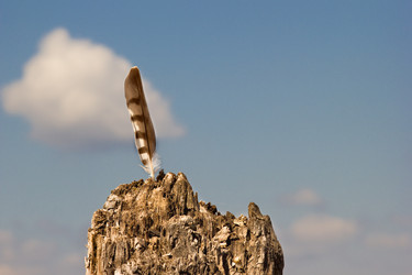 Similar image 8493793