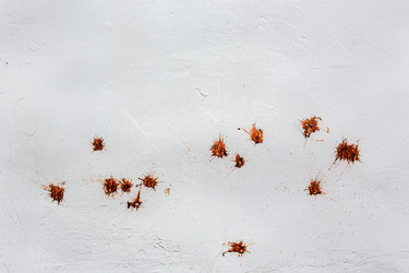 Similar image 8494634