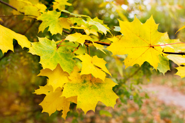 Similar image 8494648