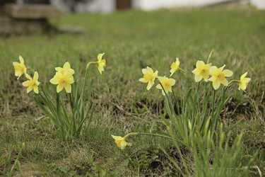 Similar image 8496199