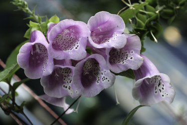 Similar image 8496200