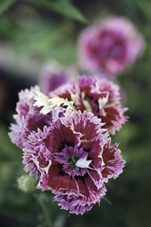 Similar image 8496202