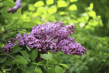 Similar image 8496402