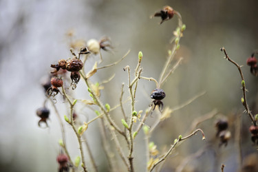 Similar image 8496403