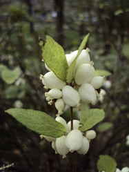 Similar image 8496404