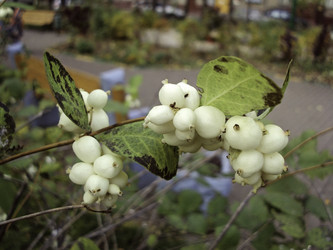 Similar image 8496405