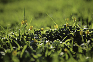 Similar image 8496407