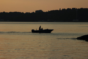 Similar image 8496469