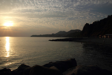 Similar image 8496470