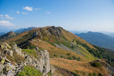 Similar image 8496483