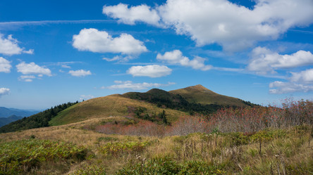 Similar image 8496484