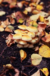 Similar image 8496486