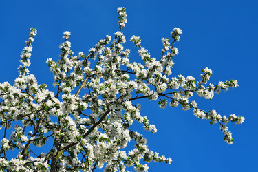 Similar image 8496492