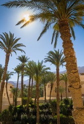 Similar image 8496565