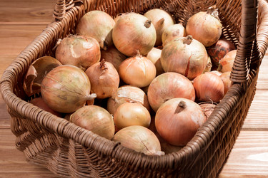 Similar image 8496569