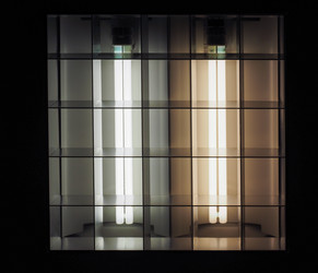 Similar image 8496599