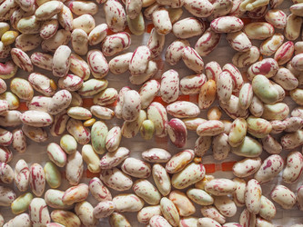 Similar image 8496703