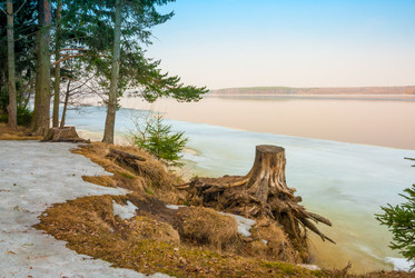 Similar image 8496747