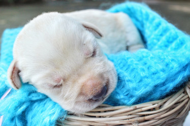 Similar image 8496762