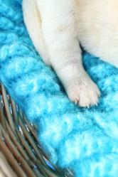 Similar image 8496763